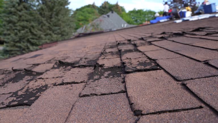 Best Rubber Roofing (EPDM, TPO)  in Hunters Creek Village, TX
